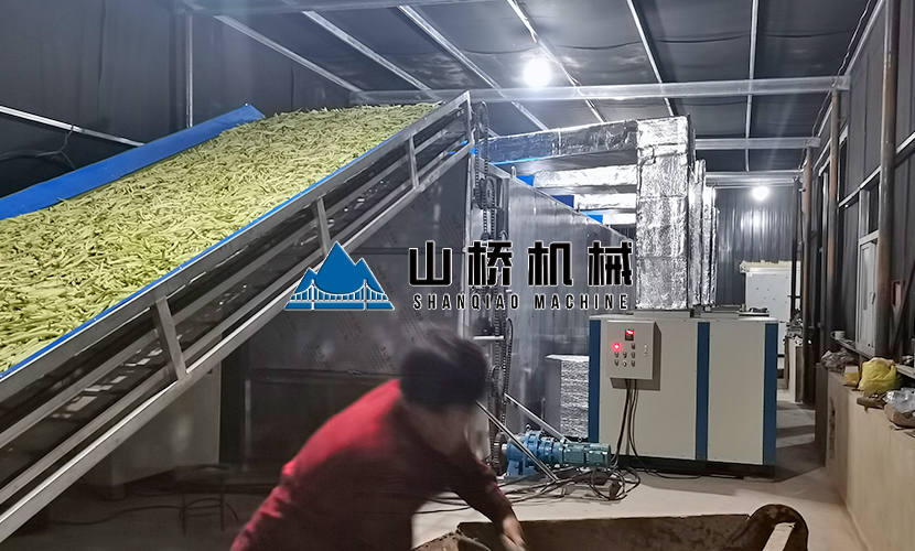 網帶式蘿卜烘干機優勢有什么？(圖1)