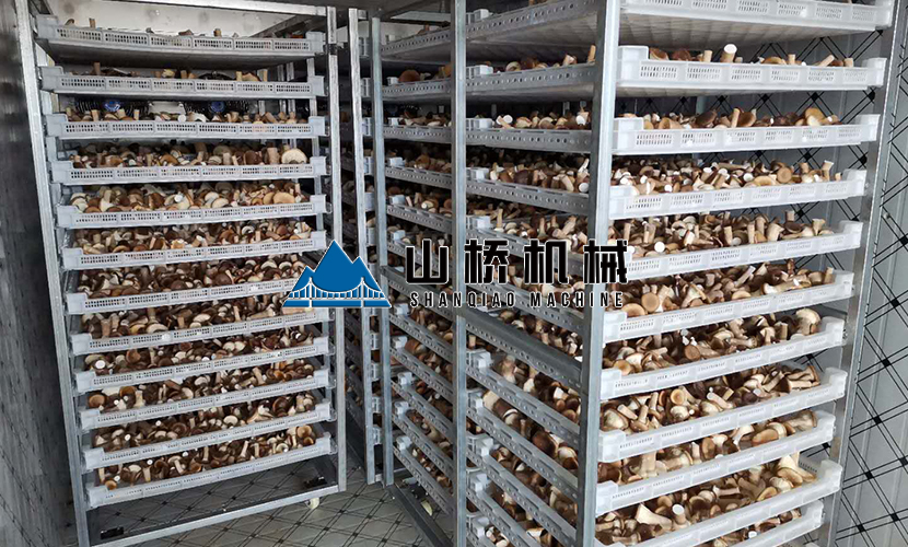 網(wǎng)帶式食用菌烘干機多少錢一臺？(圖1)