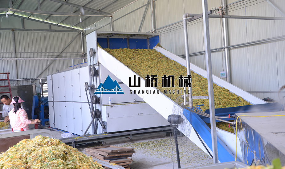 大型金銀花網帶烘干機