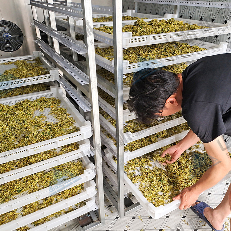 金銀花烘干機使用經驗談(圖1)