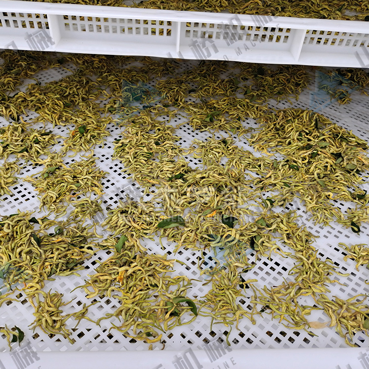 金銀花烘干機使用經驗談(圖2)