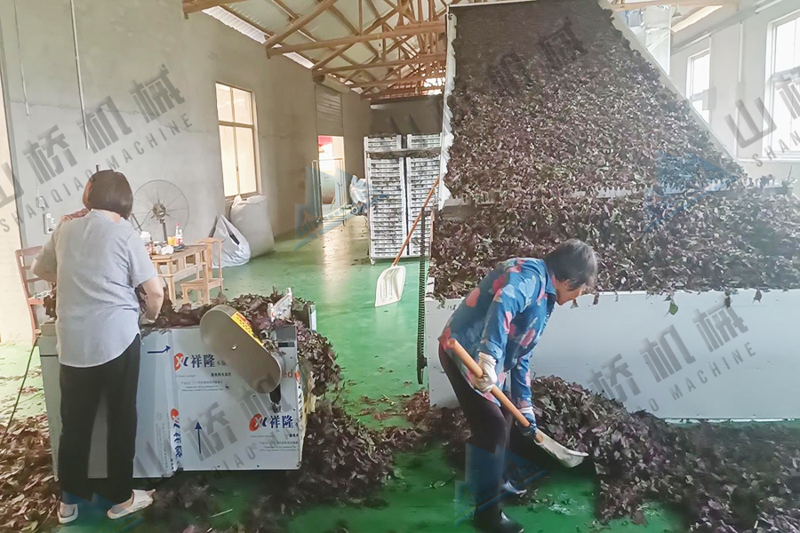 大型網帶烘干機在中藥材加工中的作用(圖2)