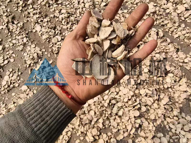什么是中藥材烘干機，用熱泵烘干中藥材有什么好處！(圖1)