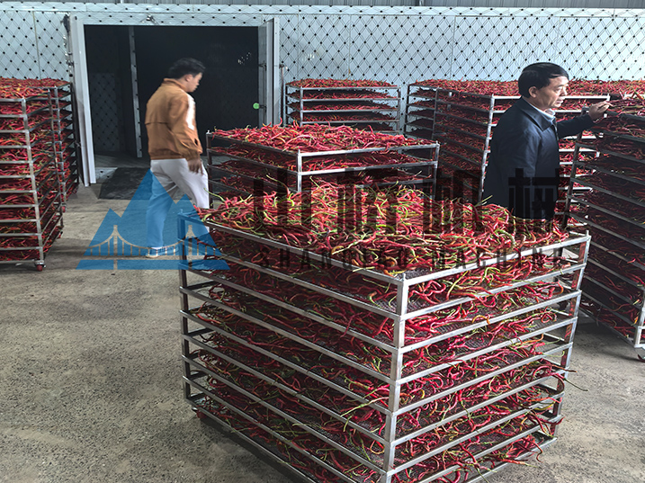 因“椒”制宜：解析不同品類辣椒的差異化烘干工藝(圖1)
